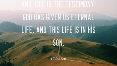 1 John 5:11