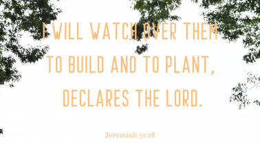 Jeremiah 31:28