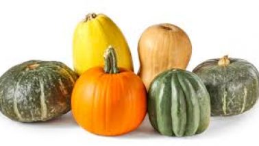 What did the word Squash come from?