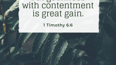 1 Timothy 6:6