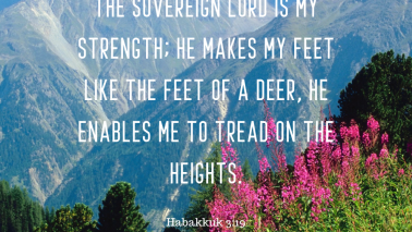 Habakkuk 3:19