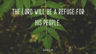 Joel 3:16