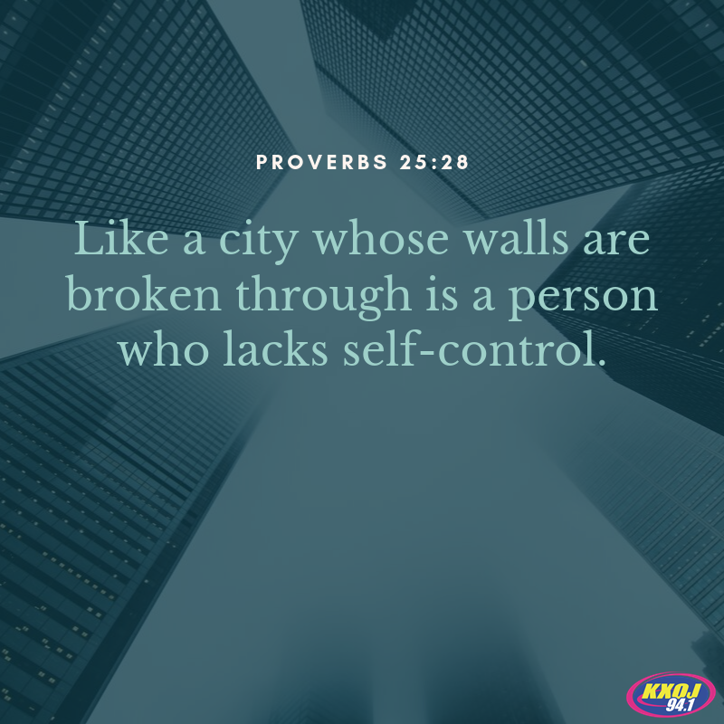 Proverbs 25:28