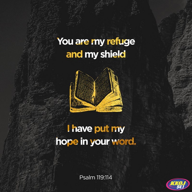 Psalm 119:114