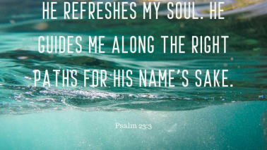 Psalm 23:3