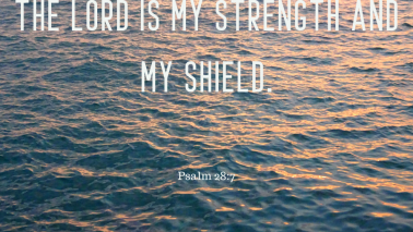 Psalm 28:7