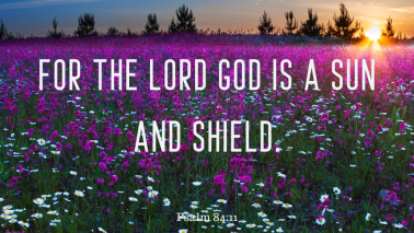 Psalm 84:11