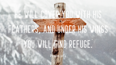 Psalm 91:4