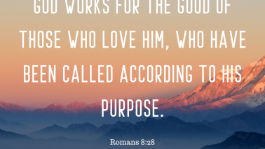 Romans 8:28