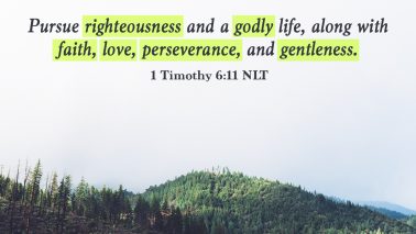 1 Timothy 6:11