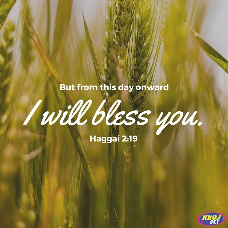 Haggai 2:19