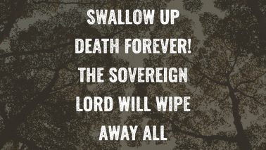 Isaiah 25:8