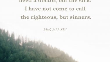 Mark 2:17