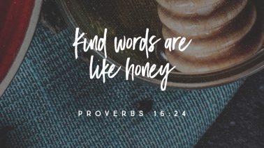 Proverbs 16:24