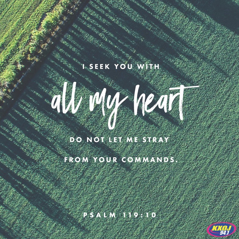 Psalm 119:10